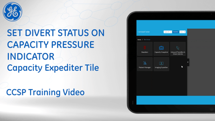#04 - Capacity Expediter Tile - Set Divert Status on Capacity Pressure Indicator Cover Image